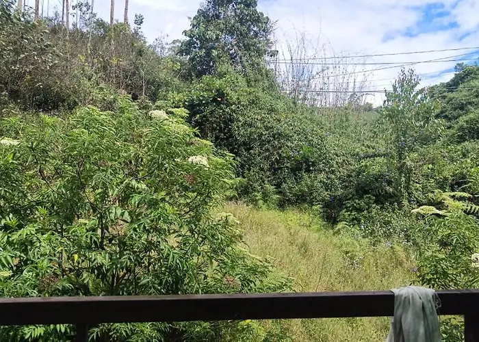 Pavithra Cottage Munnar